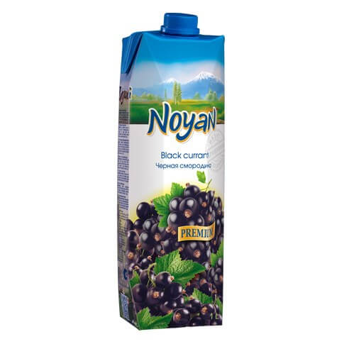 Noyan Blackcurrant Grape Jiuce (CASE OF 12 x 1L)